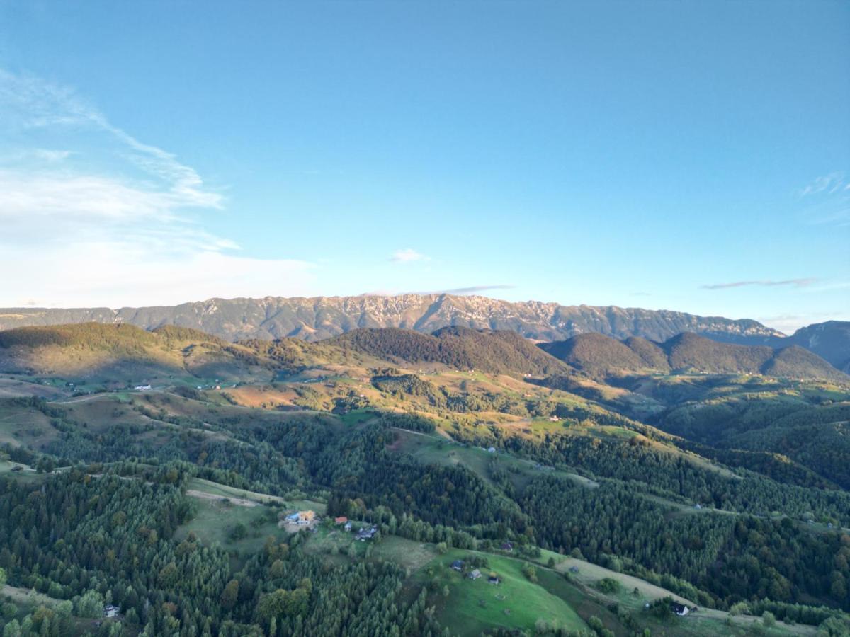 Вілла Prater House Mountain View Моєчу-де-Жос Екстер'єр фото