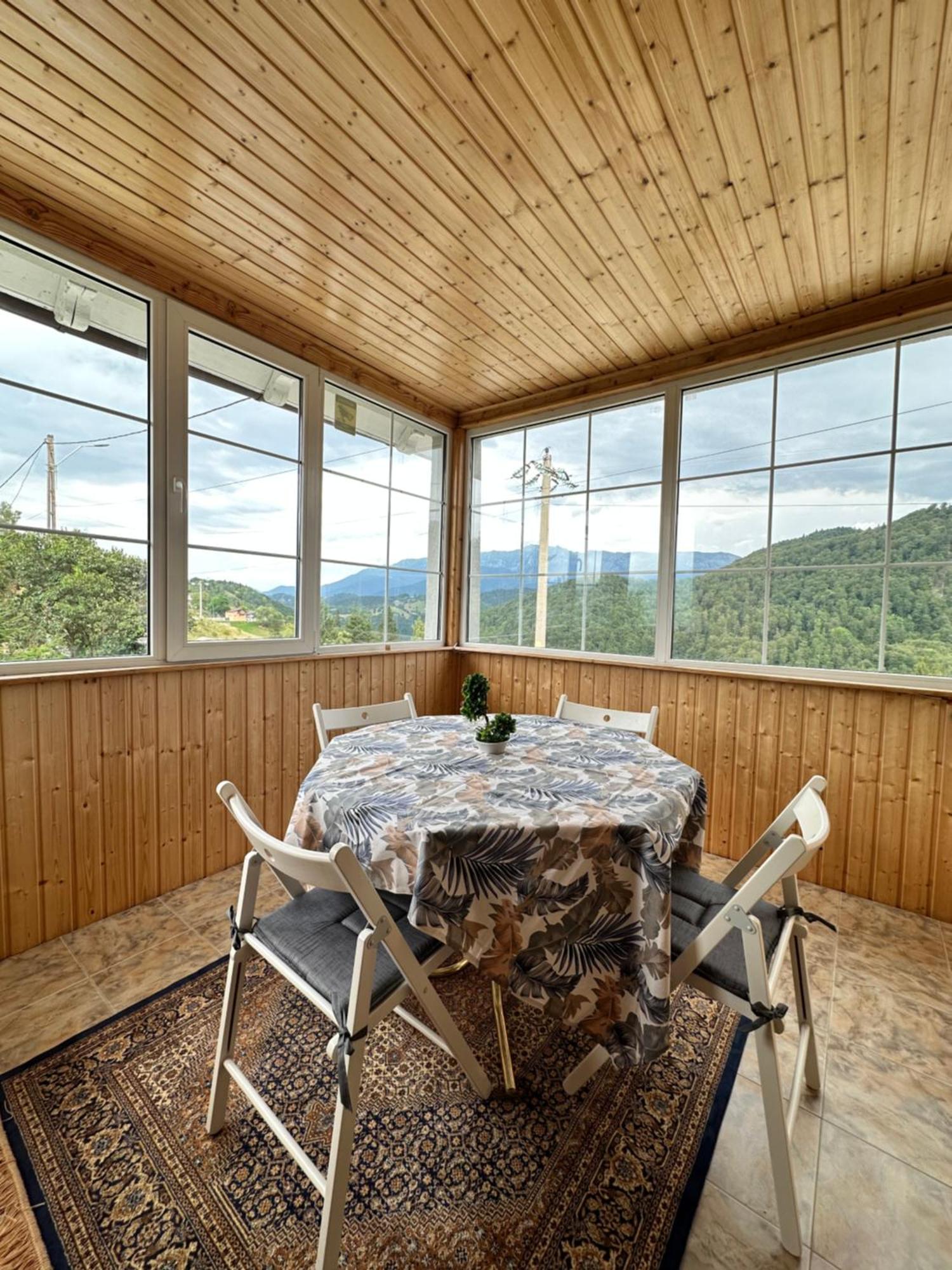 Вілла Prater House Mountain View Моєчу-де-Жос Екстер'єр фото